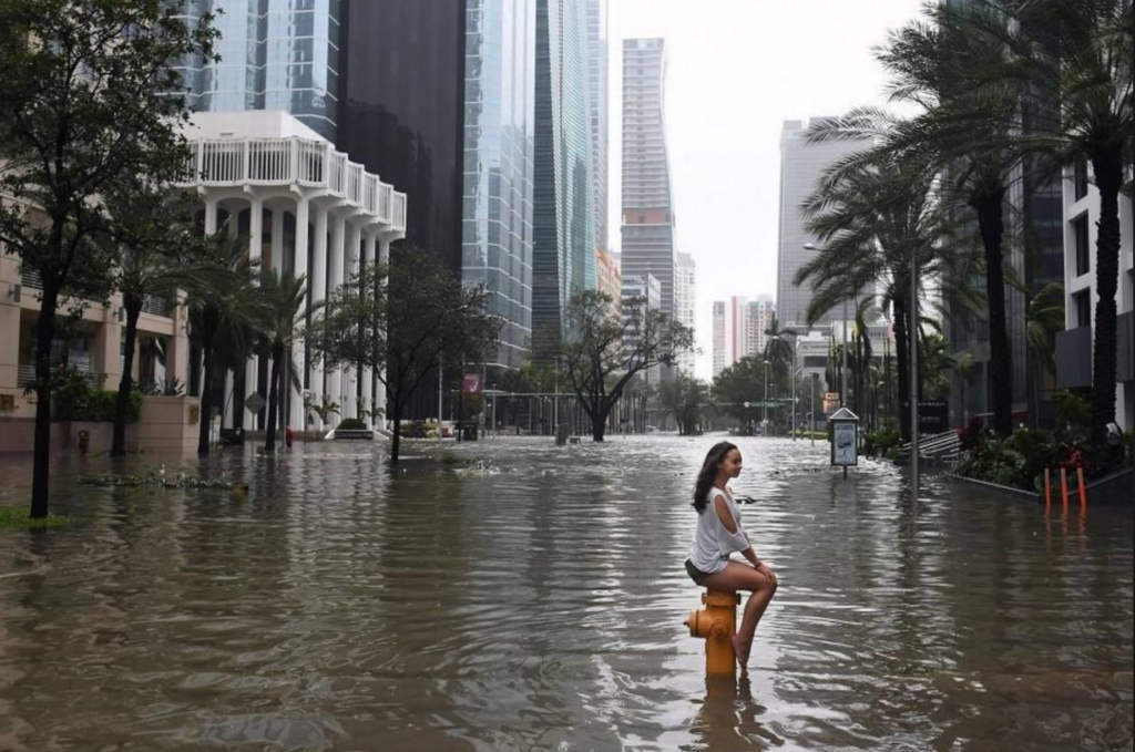 Flood